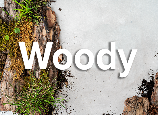 Woody